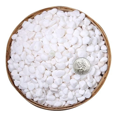 Hisredsun Piedras blancas decorativas de 1,8 kg, grava de jardín pequeña, grava para maceta