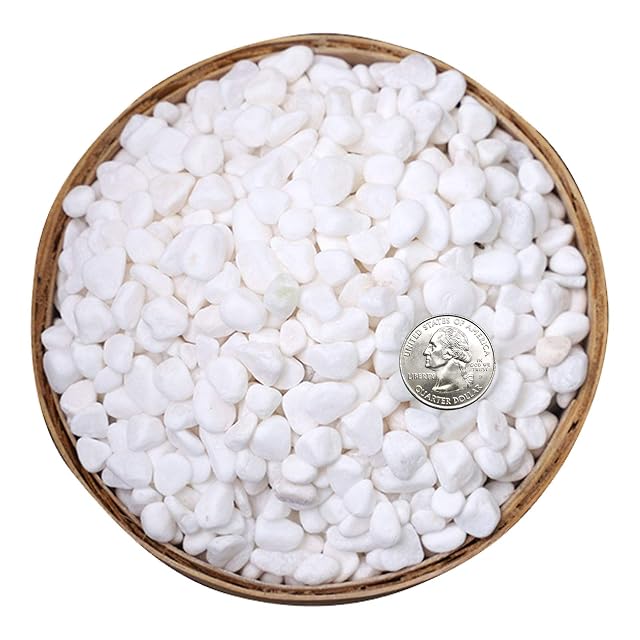 Hisredsun Piedras blancas decorativas de 1,8 kg, grava de jardín pequeña, grava para maceta