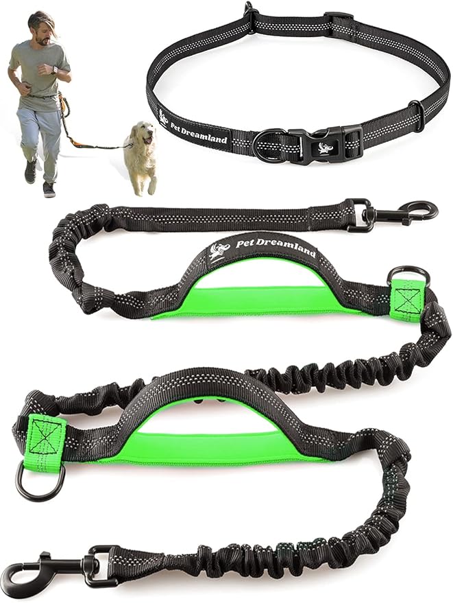 Hands Free Dog Leash for Running Bungee Waist Leash for Dog Walking