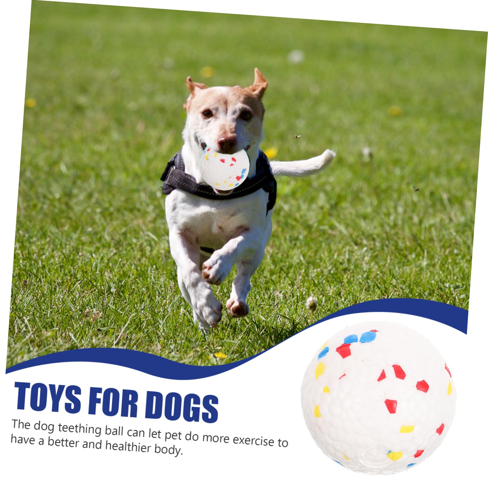 Kisangel 5stücke Bissfester Interaktiver Spielball Für Hunde Elastisches Kauspielzeug Für Welpen Zum Spielen Und Reduzieren Von Langeweile Leicht Und Schwimmfähig Für Kleine Und