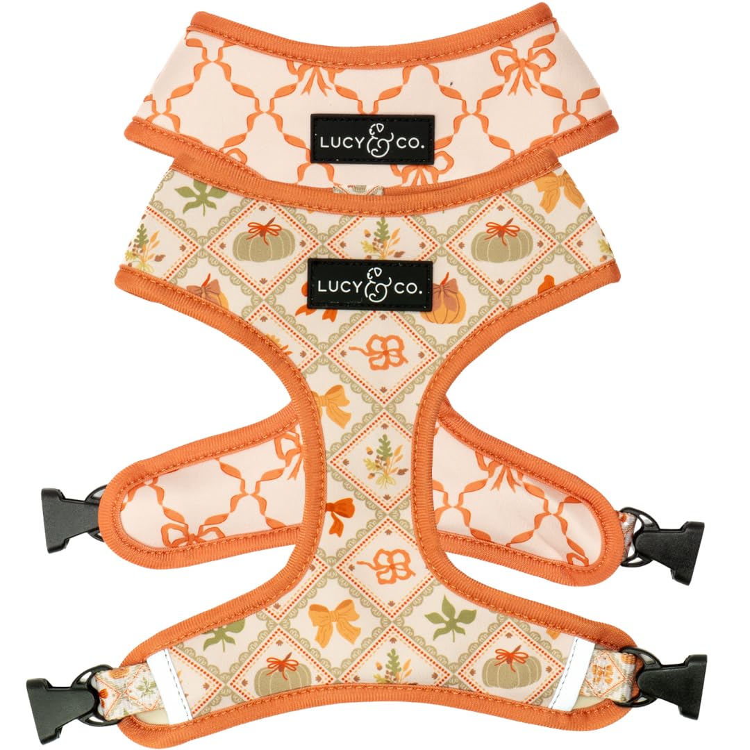 Lucy & Co. Cute Reversible Dog Harness Walking Halter - Best Designer Pet Harnesses for XS - XL Dogs - Padded Adjustable Vest for Easy Walking (Small, Ballet Bows - White & Pink Bows) — view 23
