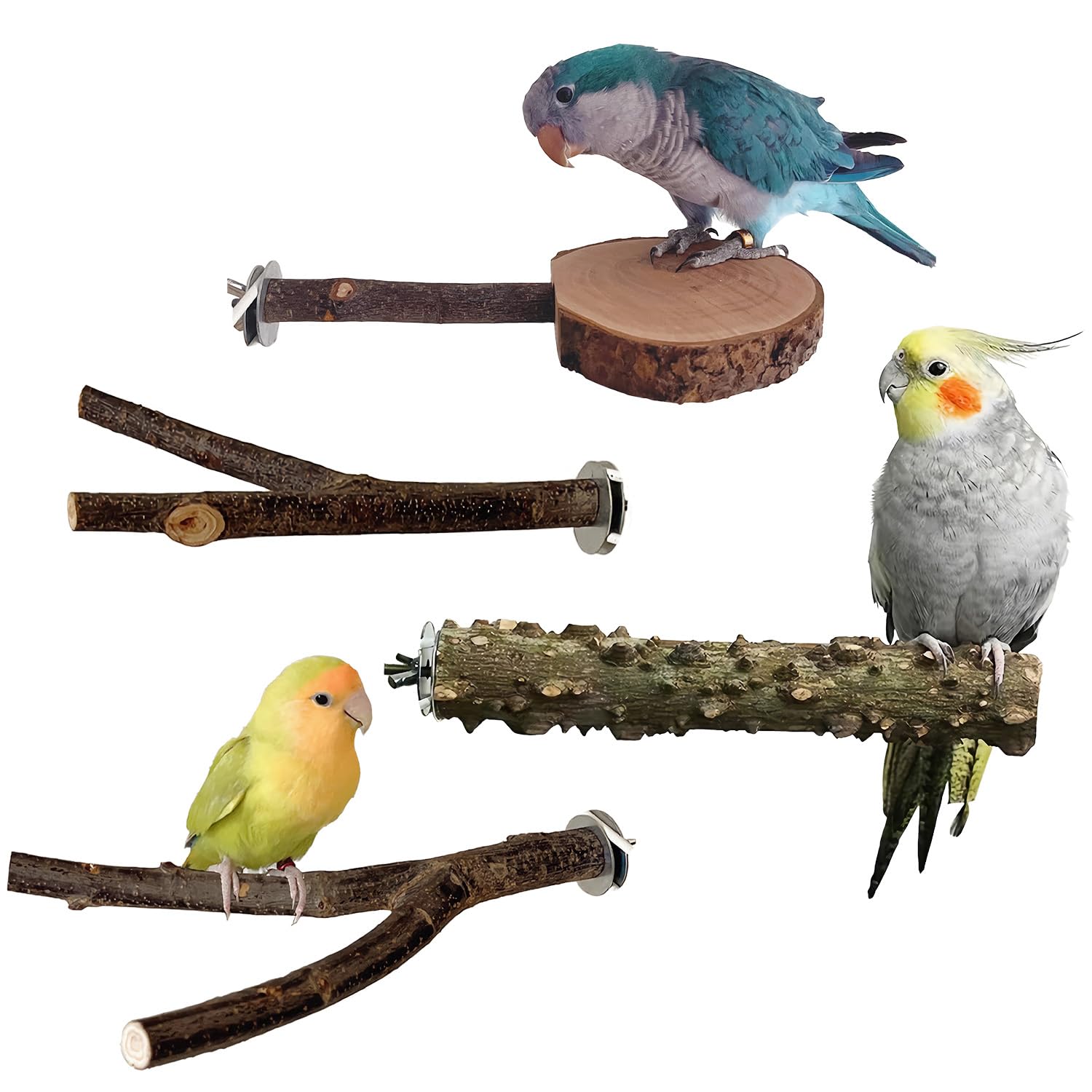 4 Pack Bird Perches for Cage with Natural Wood, ROOJUNE Bird Cage Accessories Bird Perch Platform for Small Medium Parakeets Parrots Conures Cockatiels Finches Lovebirds