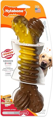 Nylabone Flavor Frenzy Power Chew Dog Toy Philly Cheesesteak X-Large/Souper (1 Count)