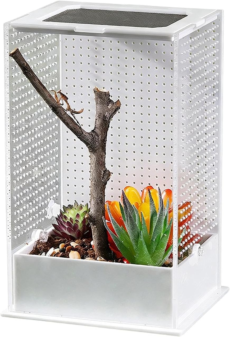 Clear Terrarium, Mantis Habitat Tank, Reptile Cage with Easy Viewing Design, Enclosure with Removable Lid, Acrylic Cage Ventilation Slots, Nesting Habitat for Breeding and Feeding