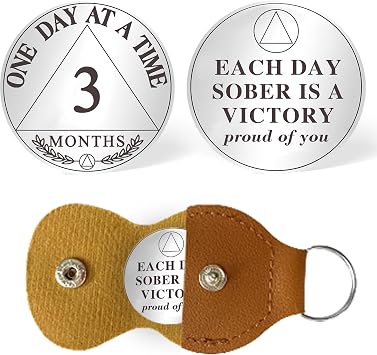 Sobriety Coin Sobriety Chips AA Chip AA Coins ONE Day at A TIME Sober Token Recovery Medallion NA Chips NA Coins Laser Engraved Design with Pu Keychain 3 Month-90 Days