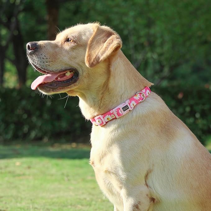Collar de perro acolchado de neopreno, suave y cómodo, floral, para perros pequeños (pequeño, rosa brillante con margaritas) miniatura 2