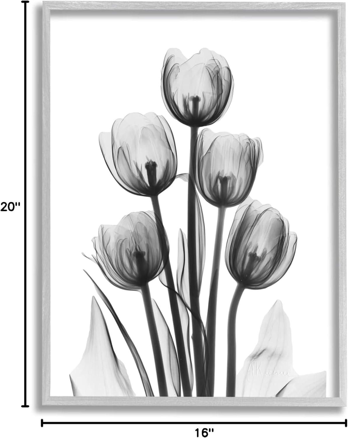 Stupell Industries Abstract Flower Silhouette Monochrome Tulips,Design by Albert Koetsier