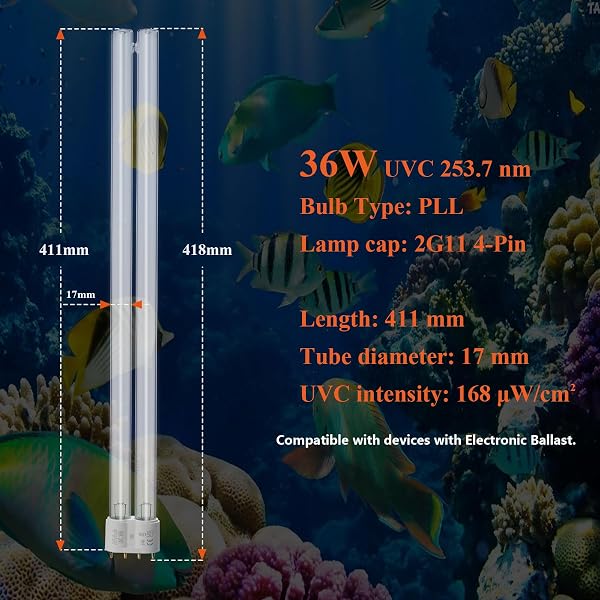 AffyBulb 2 * 36 W 2G11 PLL Ersatz-UV-Leuchtmittel, für Teich-UVC-Filter, Maschine oder Klärer - 5