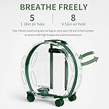 VETRESKA Hard Cat Carrier with Stickers & 2 Mats, Freely Breathe Travel Dog Carrier, Airline Approved Outdoor Cat Crate, Cat Kennel Trolley Case Portable with Silent Wheel for Cats and Dogs