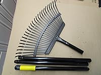 Review Image by Dana Dana