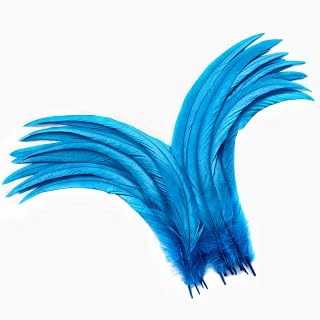 Holmgren Turquoise Long Rooster Feathers for DIY Crafts, 60pcs 12-14inch