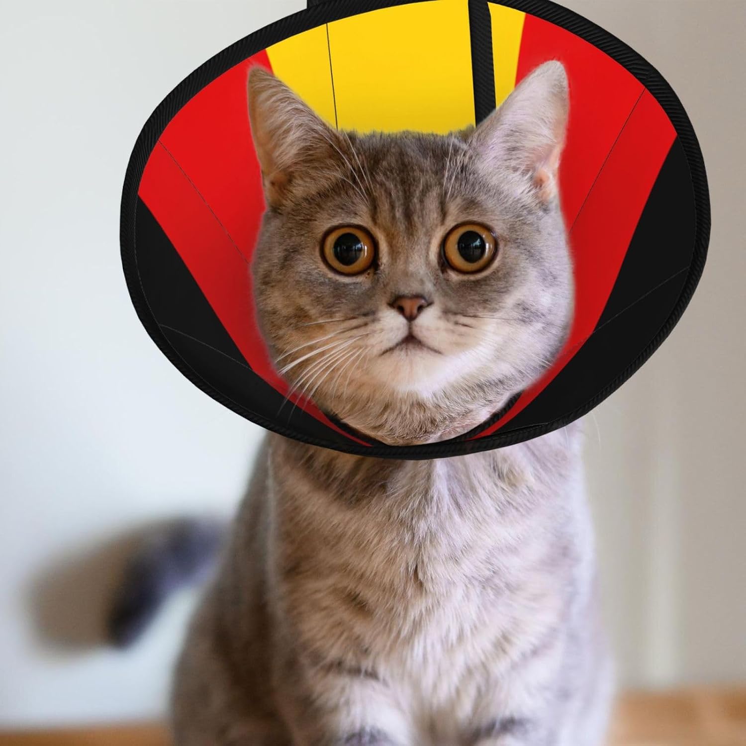 Custom Pet Cones - Unique Design Cat & Dog Cone, Collar for Post-Surgery Recovery, Adjustable Neck German Flag Large
