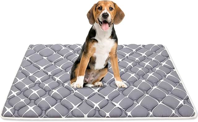 Bubble bear dark-hued washable dog crate pad