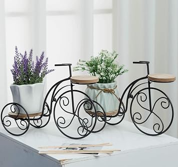 2-Plant Iron Bicycle Plant Stand, Metal Wire Flower Pot Wrought Iron Planter for Plants, Flowers, Garden, Patio, Office, Balcony Outdoor and Indoor Decor