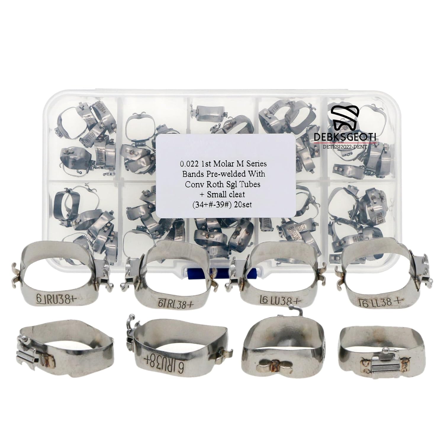 Dental Models Typodont with Orthodontic Molar Bands 34+#-39# (Sheath Type)