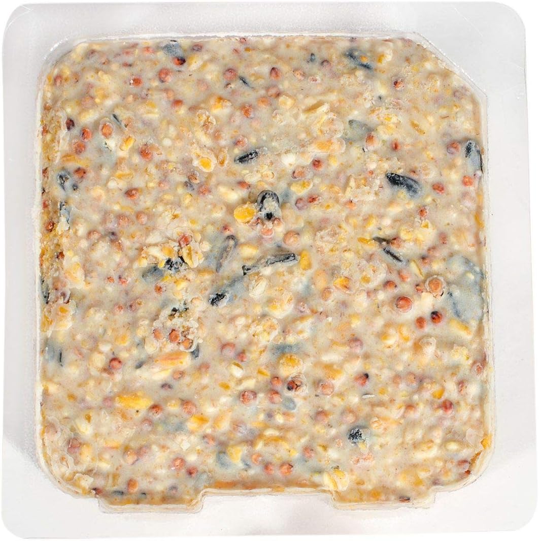 Nature's Nuts Orange Burst Suet (12 ea/case)