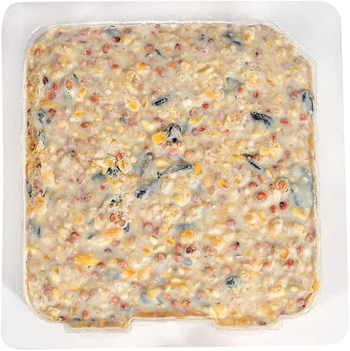 Miniatura 2 de Nature's Nuts Orange Burst Suet (12 unidades por caja)