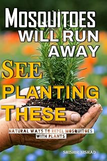 Mosquitoes will Run Away See Planting These: Best Plants to Repel Mosquitoes and Keep Bugs Away Naturally | Natural Ways to Repel Mosquitoes with Plants
