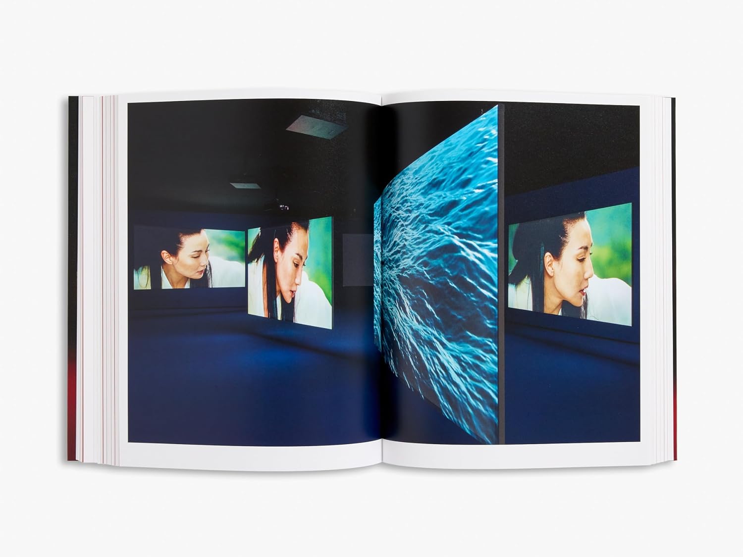 Isaac Julien: I Dream a World