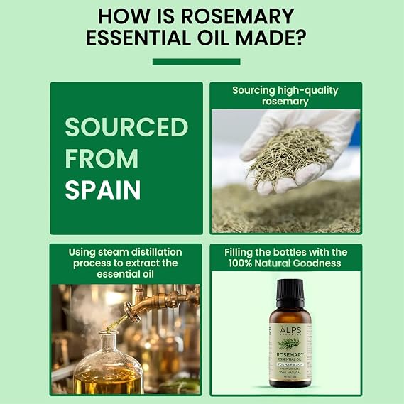 Alps Goodness Rosemary Essential Oil, 100% Pure, Steam Distilled, 30 mL