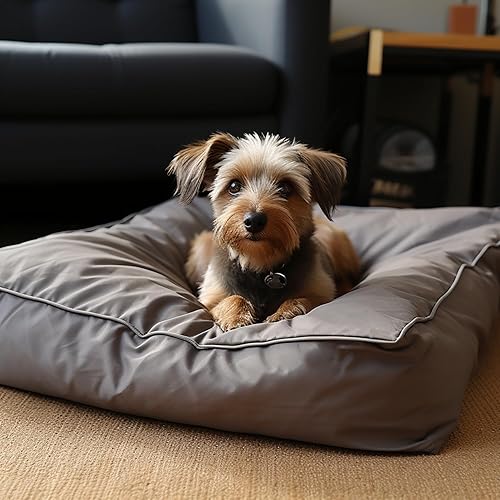 Miniatura 7 de Fundas para cama de perro de 30 pulgadas de largo x 20 pulgadas de ancho x 3 pulgadas de alto, lavables, de tela Oxford gruesa, impermeable, con
