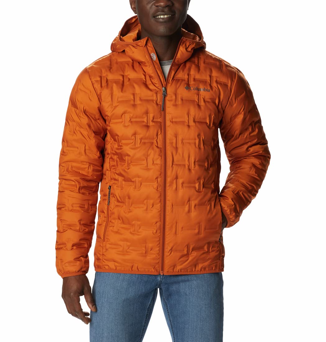 Mens Delta Ridge Down Hooded Jacket