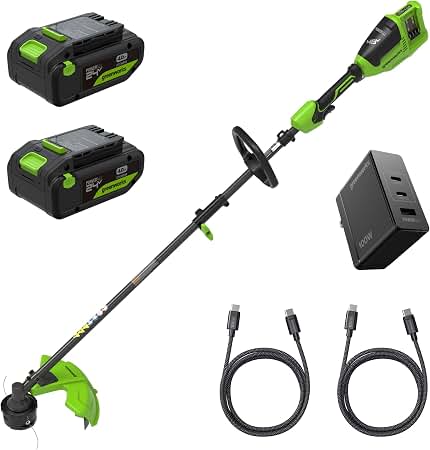 Amazon.com: Greenworks 48V(24V x 2) 8 in Cordless Electric Edger