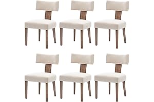 Mid Century Modern Dining Chairs Set of 6