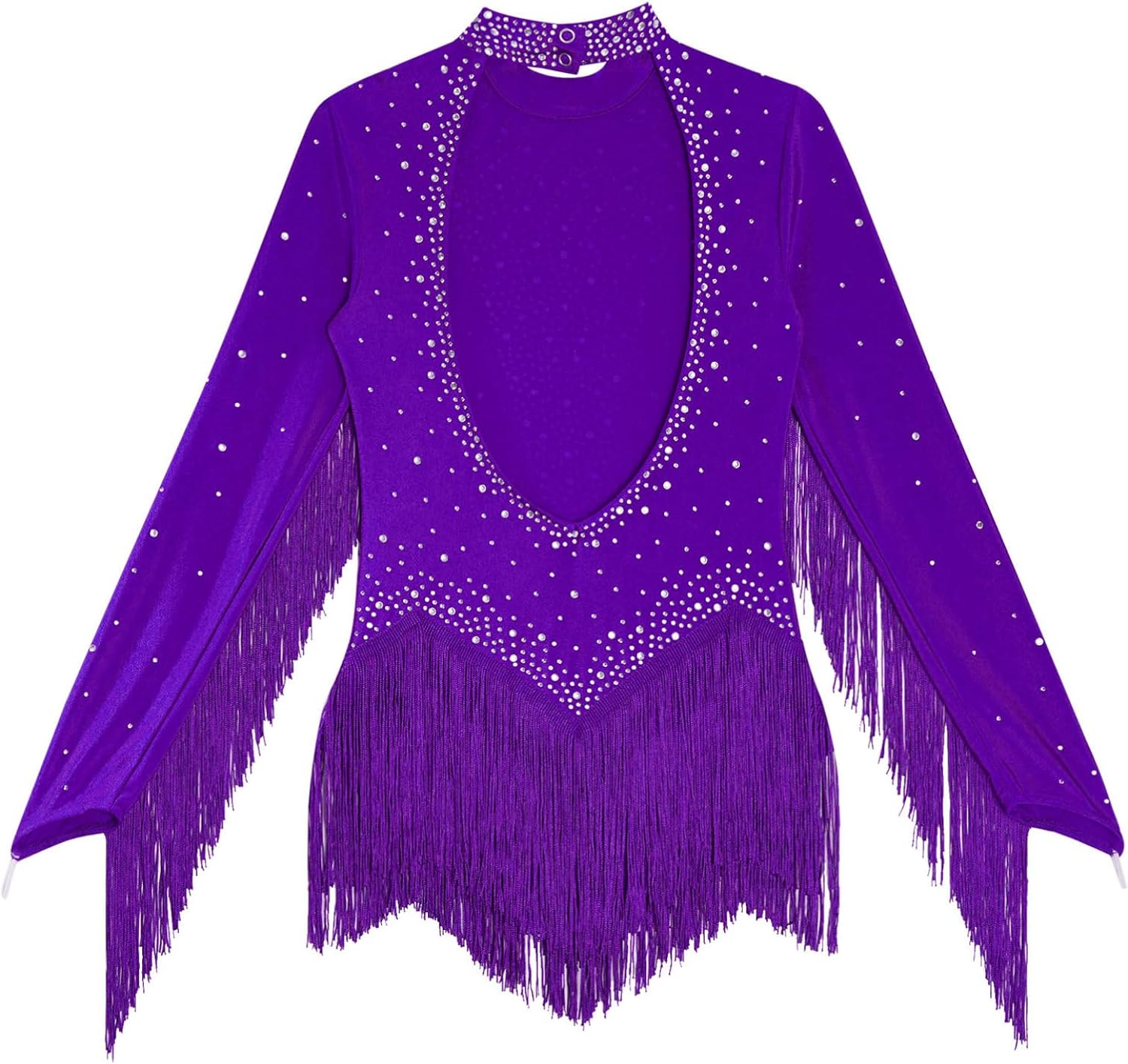 Kids Girls Tassel Dress Salsa Jazz Latin Dance Dress Fringe Long Sleeve Skirted Leotard for Performance