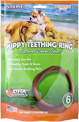 N-Bone Puppy Teething Ring Pumpkin Flavor (24 Count)
