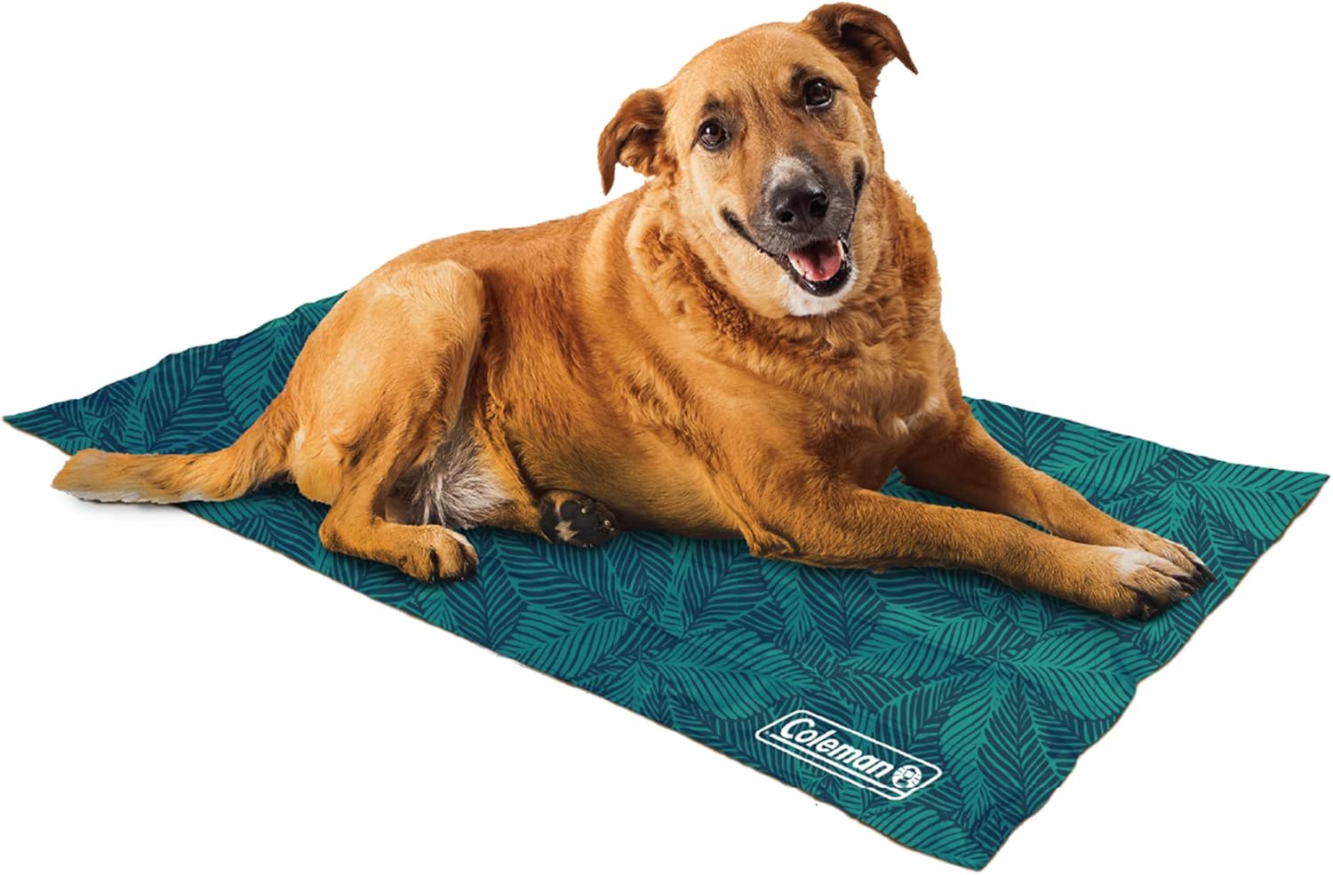 Coleman Reversible Cooling Pet Mat, Extra Large, 24" x 36