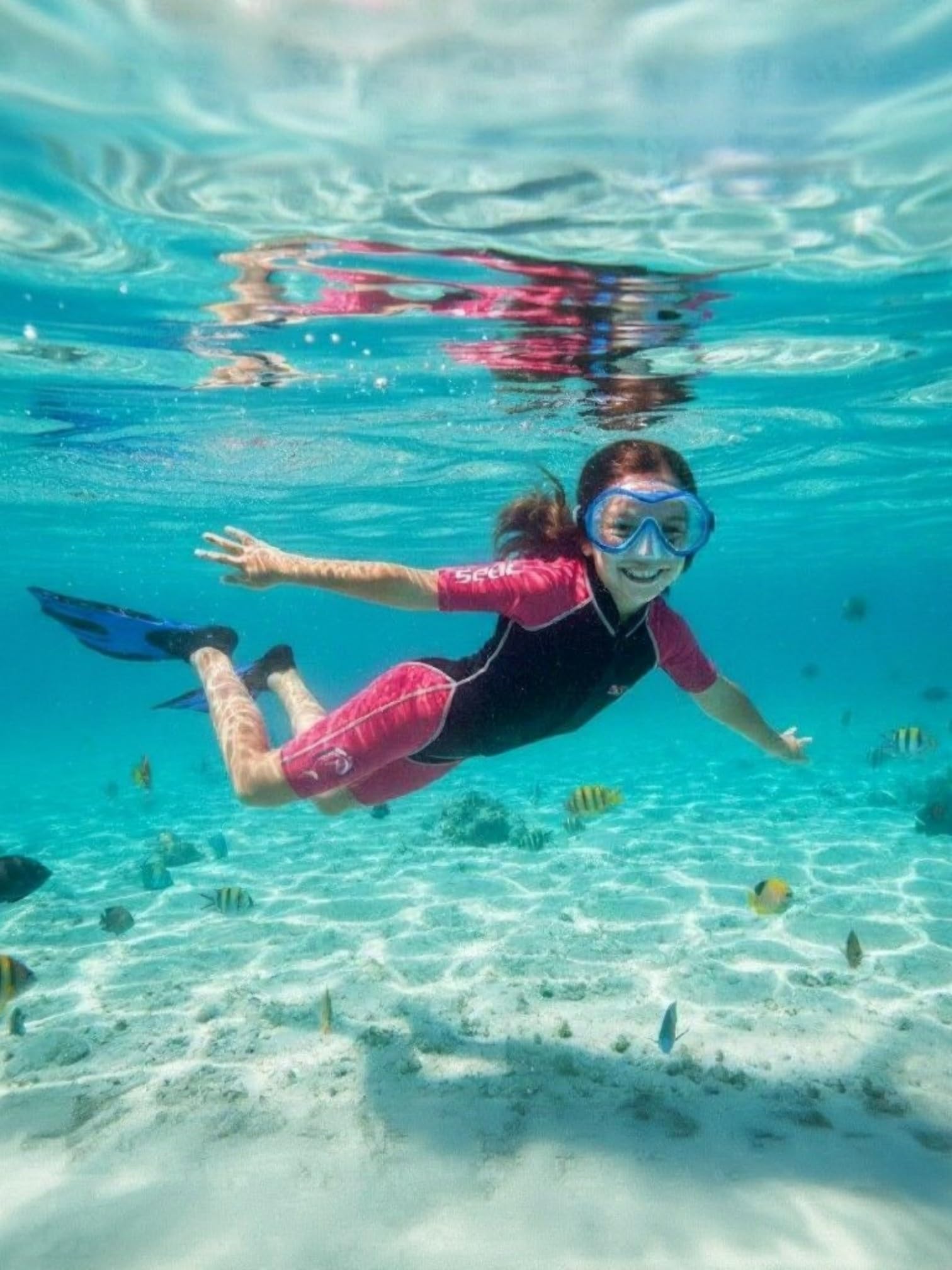 Seac Dolphin, Combinaison de plongée pour enfant Shorty en néoprène de 1,5 mm et Lycra pour la nage, la plongée en apnée et les jeux aquatiques