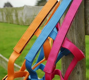Rhinegold Field Safe Foal Headcollar