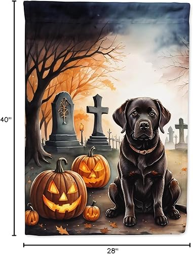 Miniatura 147 de Caroline's Treasures DAC2011GF - Bandera decorativa para jardín de Halloween con diseño de beagle para jardín, jardín, jardín, jardín, multicolor