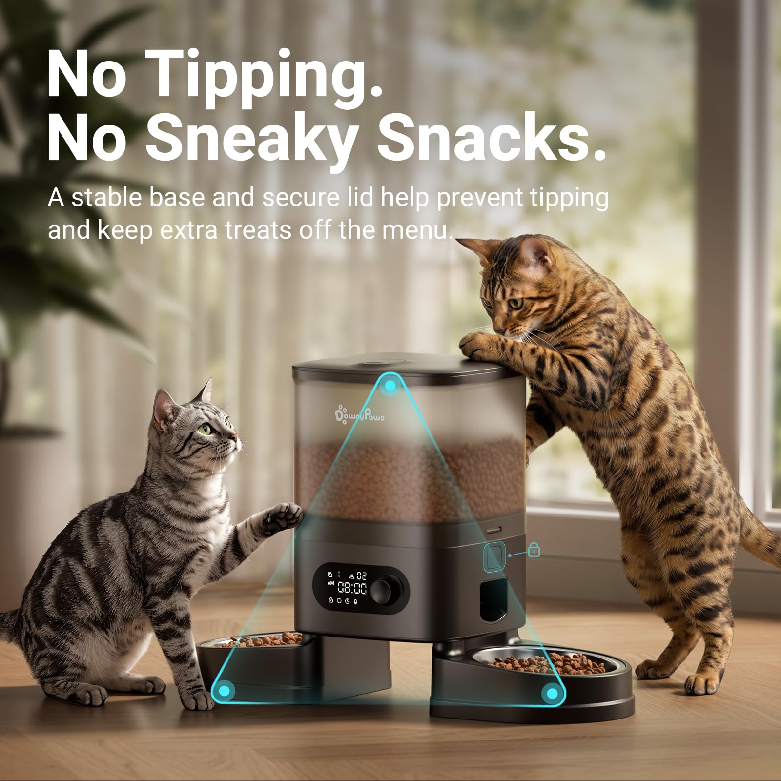 DownyPaws Distributeur Croquettes Chat Automatique, sans Fil avec Minuterie