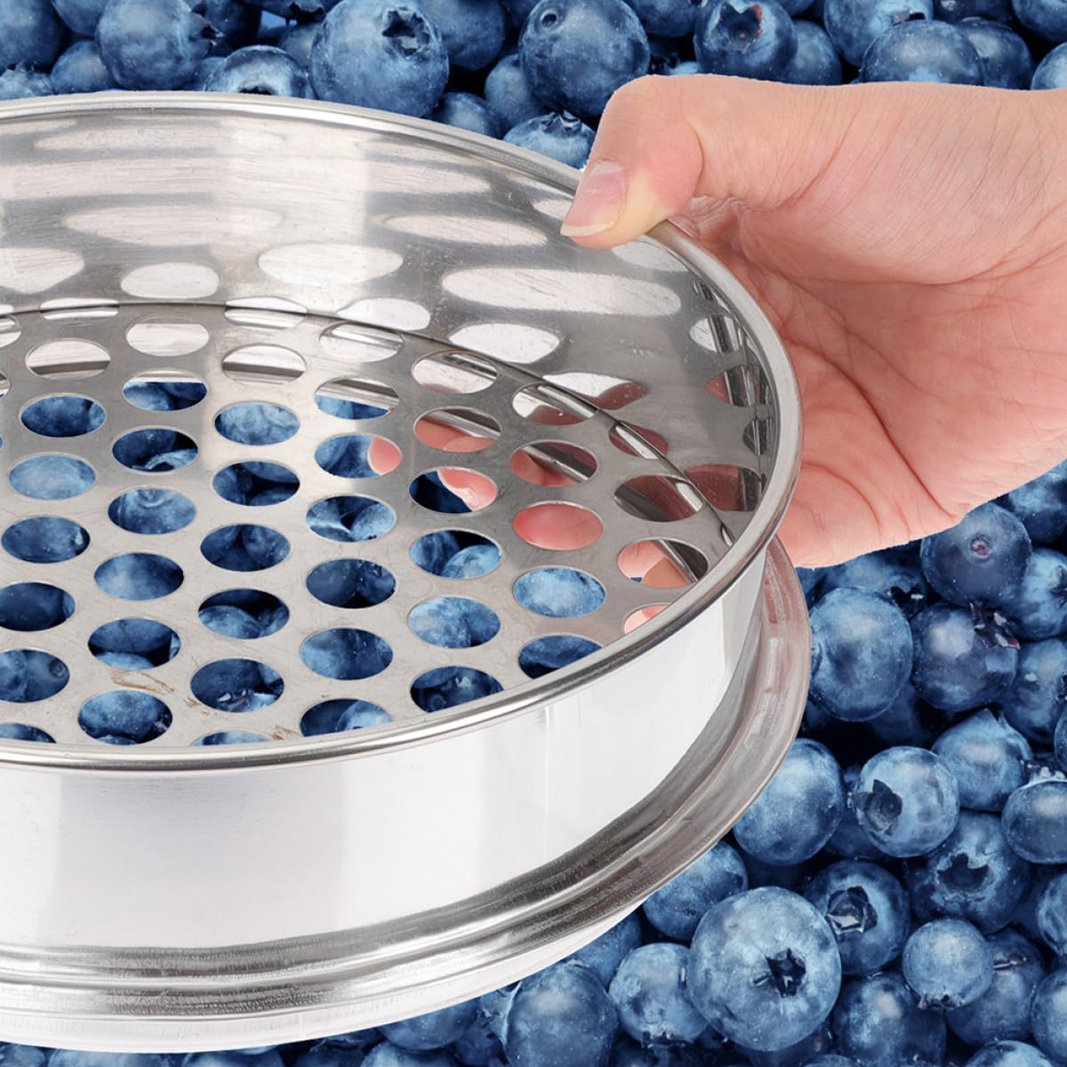 TOYANDONA Cedazo Adecuado para Jardín y Cocina Resistente y Apilable de Clasificación de Acero Inoxidable Agujeros Redondos para Arándanos