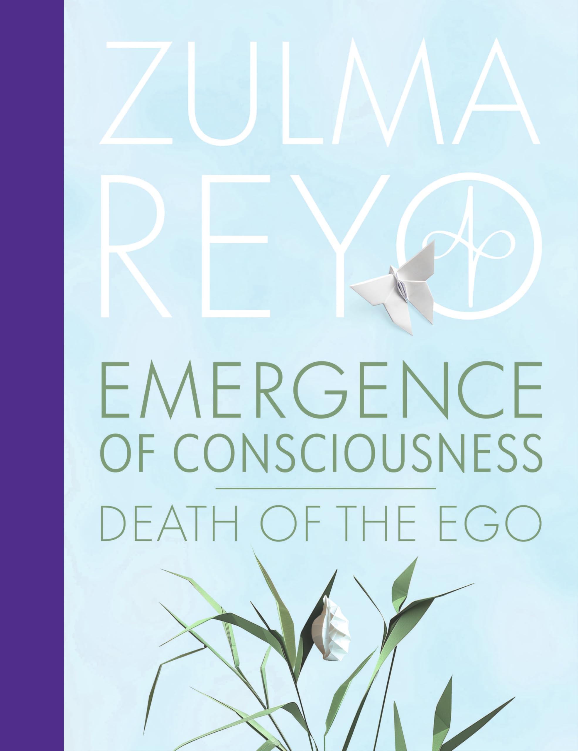 Emergence Of Conciousness by Zulma Reyo HARDBACK 9781916746107