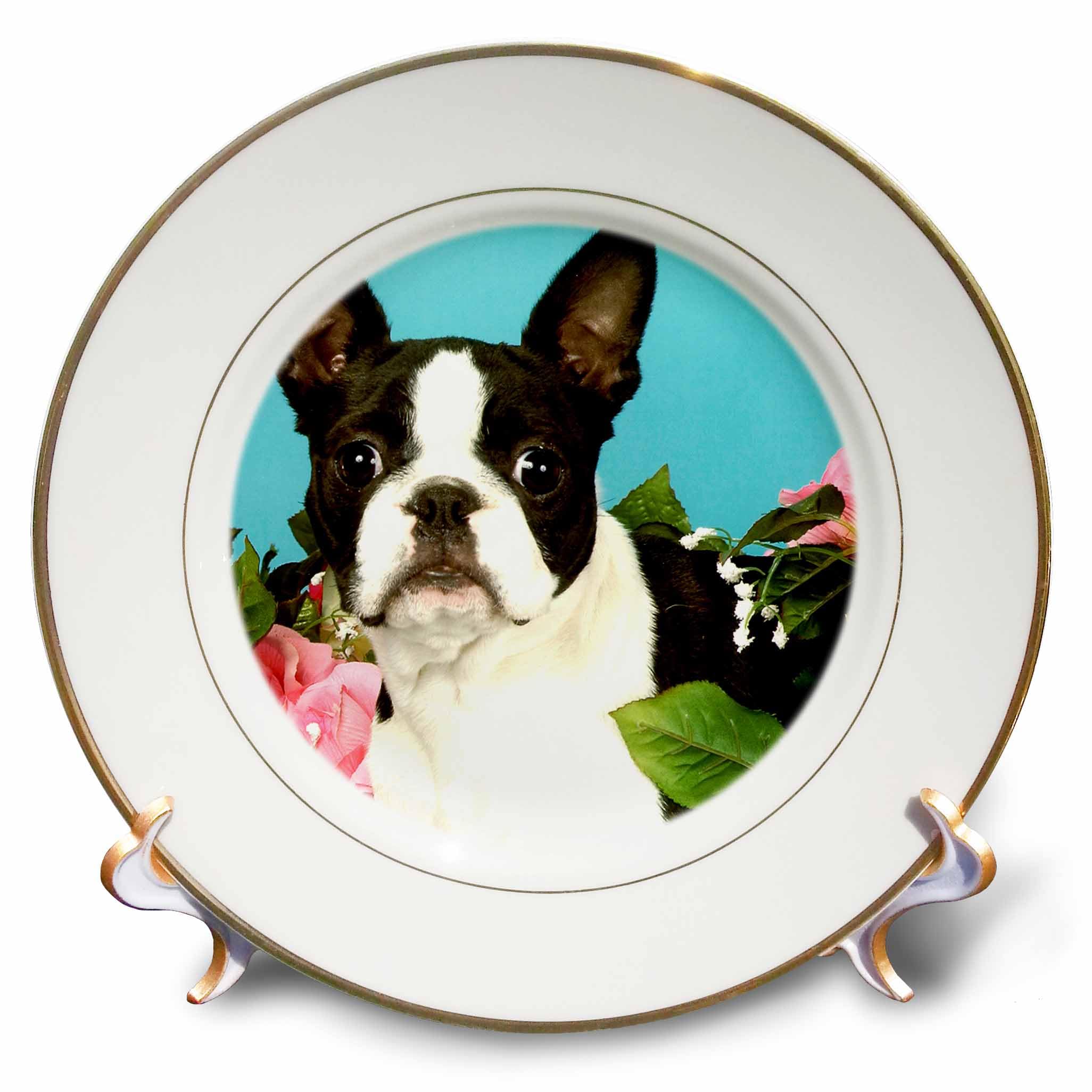ボストンテリア Amazon.co.jp: 犬ボストンテリア – ボストンテリア – Emmaプレート 8