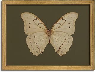 Wood Framed White Butterfly Wall Art, Vintage Butterfly Oil Paintings, Dark Moody Insect Canvas Prints, Boho Sage Green Wall Decor, for Bedroom Kitchen Bathroom Cottagecore Room Decor - 8x10 Inch