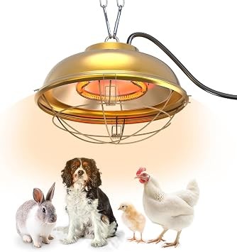 300 Watt Heat Lamp for Chicken Coop - Professional Waterproof Chicken Coop Heater for Indoor & Outdoor Used - Suitable for Chick, Duck, Rabbit and Dog