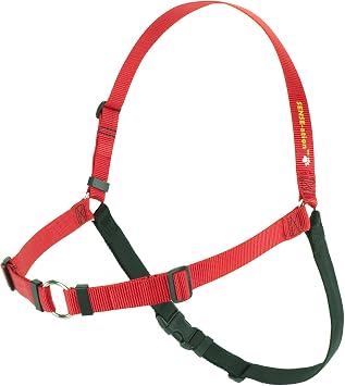 Softouch Sense-ation No-Pull Dog Harness Red, Extra Large