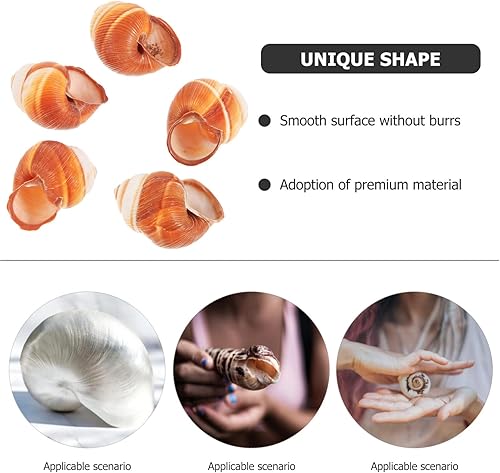 Miniatura 5 de Luxshiny 5 unidades de caracol grandes caracol Escargot caracol caracol decorativo caracol conchas vacías para cocinar la cena