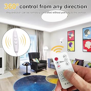 Remote Control for LED Light Strip Controller for Window Strip Lights (Single Color Remote Control)
