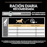 Ver la foto 5