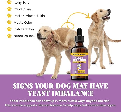 Vista 3 de Alivio natural de la infección por levaduras para perros – Tratamiento de picazón en la piel y los oídos, apoya la alergia y la salud inmunológica