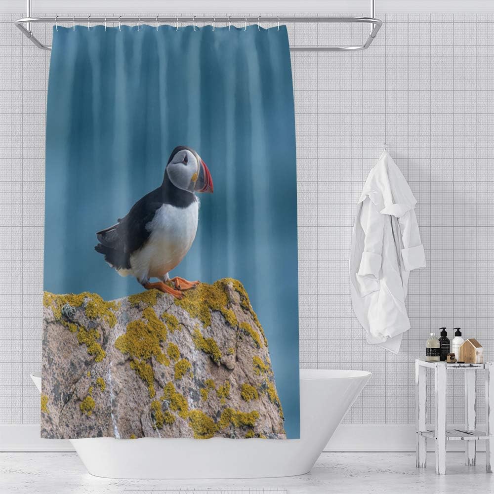 OERJU Cute Atlantic Puffin Shower Curtain Puffin Stanads on The Lichenous Stone Blue Background Bath Curtain Waterproof Polyester Fabric Bathroom Decor Set with Hooks 72x72inch