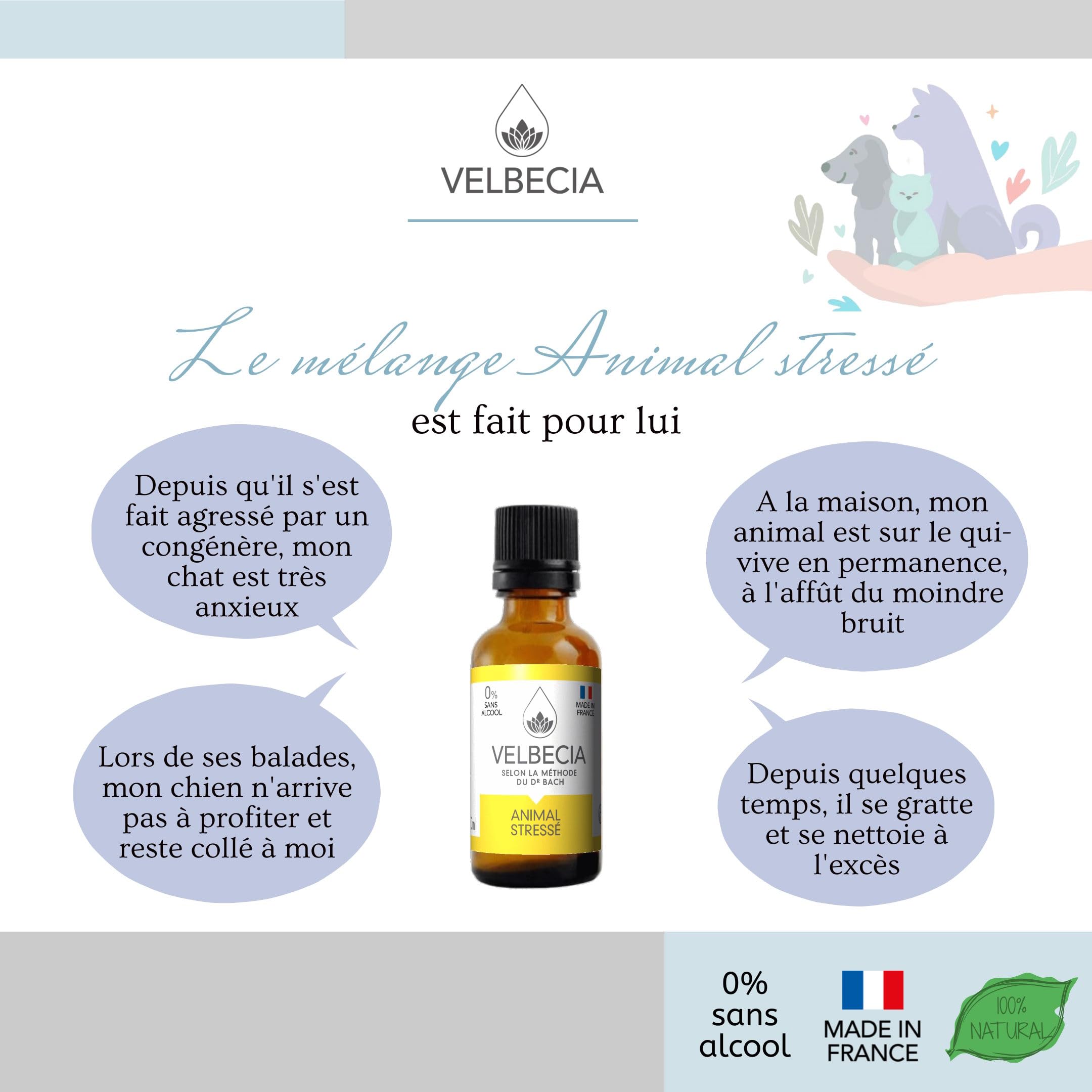 Velbecia® Animal stressé 30ml +1 OFFERT Elixirs de fleurs SANS ALCOOL - Méthode du Dr Bach - Apaise et calme votre animal