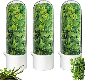 Herb Saver for Refrigerator, Cilantro Container for Fresh Herbs and Lettuce Keeper