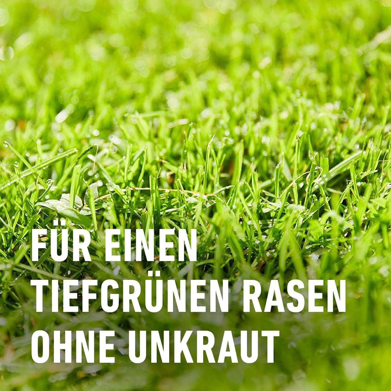 COMPO EXPERT Rasendünger mit Unkrautvernichter und Langzeitwirkung gegen Unkraut - Rasen Floranid® 15-5-8(+3) mit Unkrautvernichter | Gegen Unkraut - Rasen Floranid® 15-5-8(+3) mit Unkrautvernichter