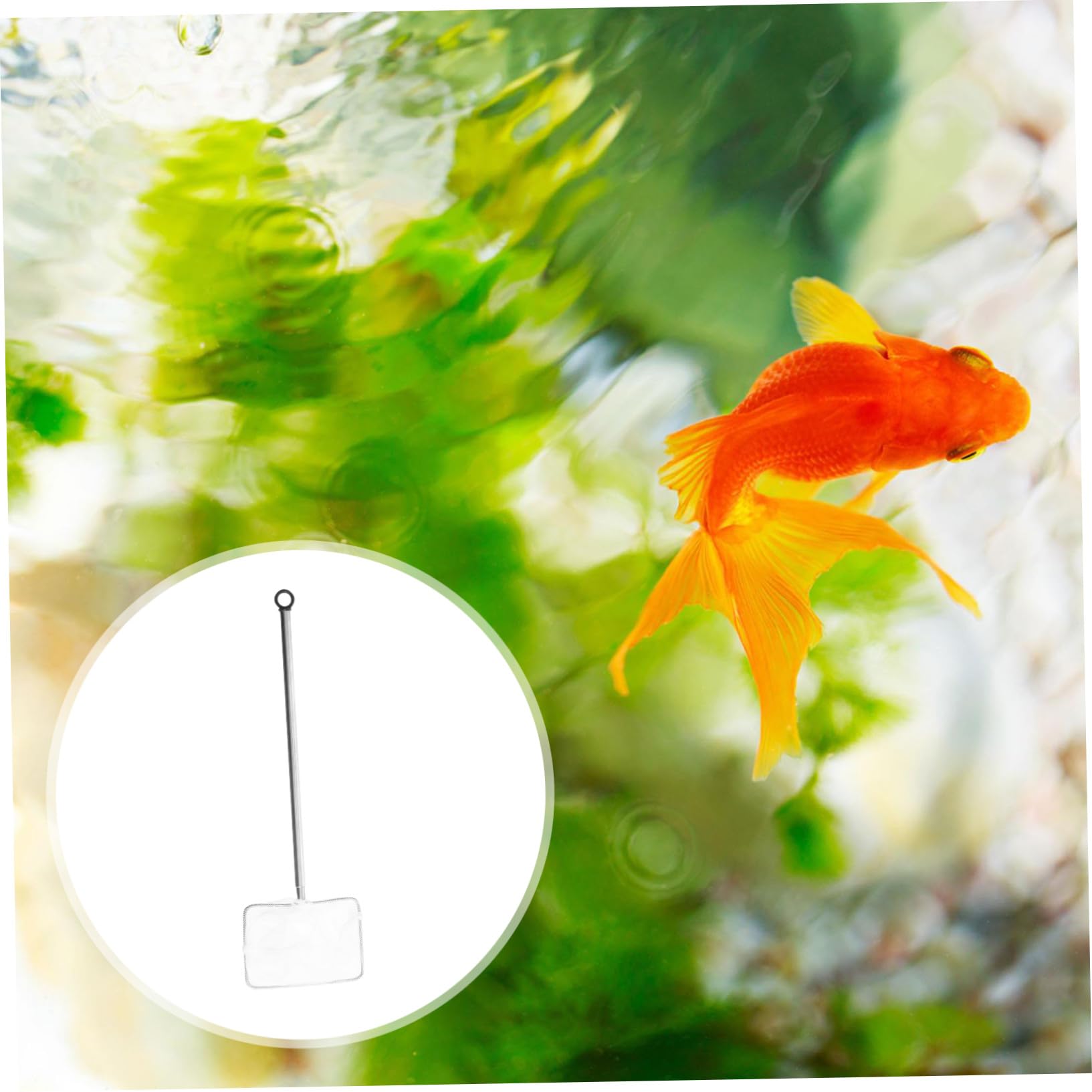 2St Fischtank Fischernetz Fischnetz klein Fangwerkzeuge zum Angeln Fischfangnetz Netzstrümpfe Garnelennetz Mesh-Netz für Aquarien Zierfische Aquarium Garnelentopf Metall Weiß